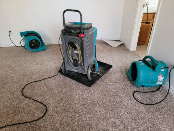 Best Water damage restoration near me  in Northampton, MA