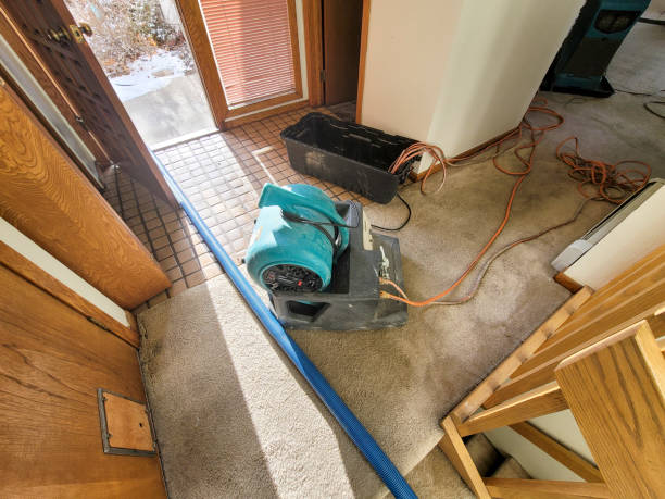 Best Flood restoration services  in Northampton, MA