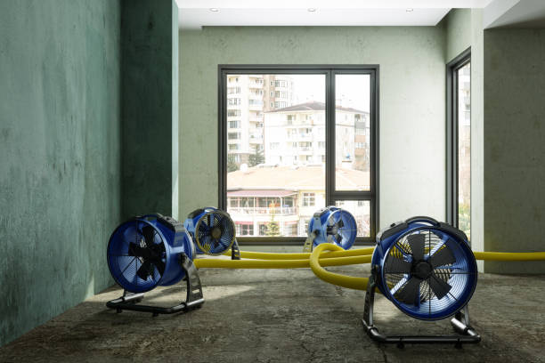 Best Emergency water damage restoration  in Northampton, MA